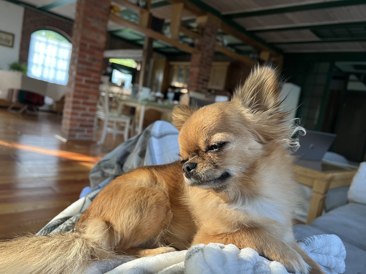 Lala